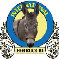 logo FERRUCCIO