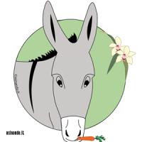 logo-new_carota