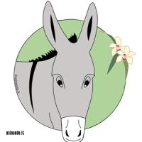 logo-new_magliette